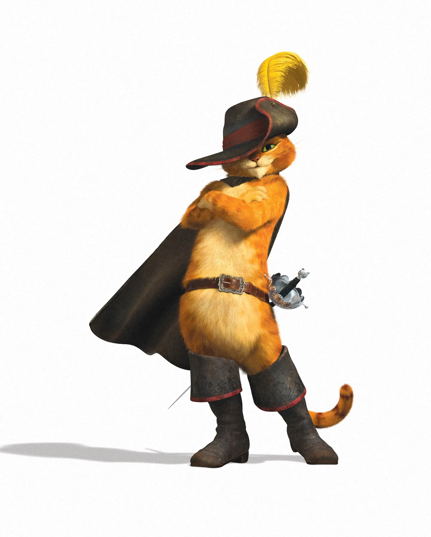 Puss in Boots — Puss in Boots. Simulation rig.